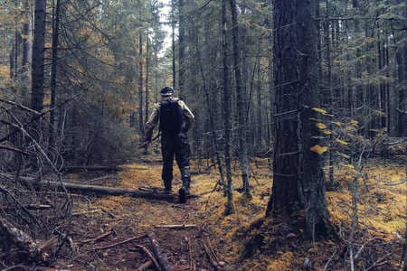Купить диплом Егеря, лесника в Ростове-на-Дону