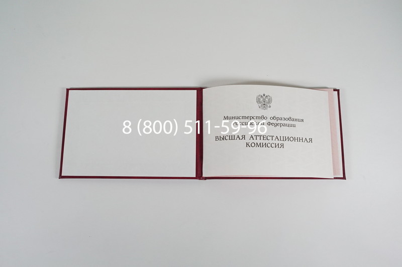 Диплом доктора наук 1995-2006 года в Ростове-на-Дону Диплом доктора наук 1995-2006 года в Ростове-на-Дону