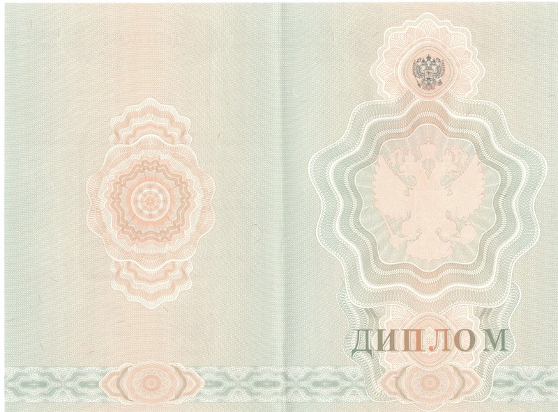 Купить Диплом о начальном образовании 2007-2009 годов в Ростове-на-Дону Купить Диплом о начальном образовании 2007-2009 годов в Ростове-на-Дону